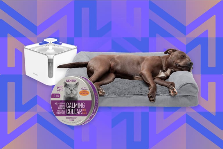 The Best Pet Beds and Accessories According to the MYMOVE Pets