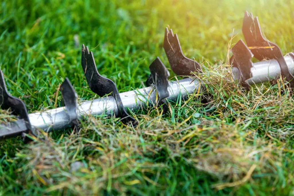 The Best Lawn Aerators of 2023